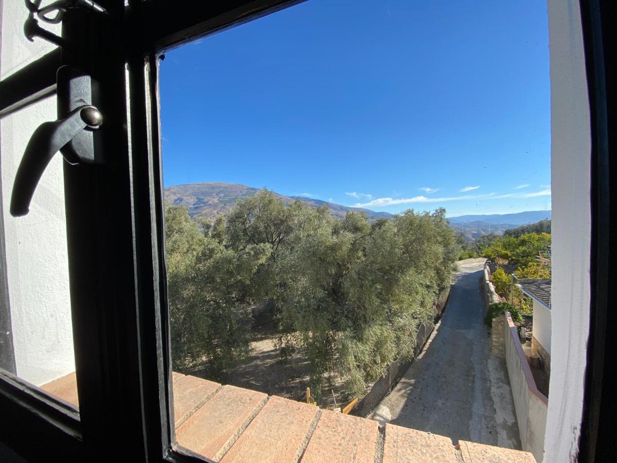 Pinos del Valle Casa Limon B&B 외부 사진
