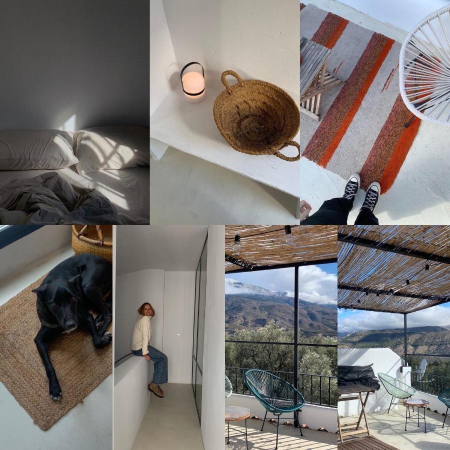 Pinos del Valle Casa Limon B&B 외부 사진